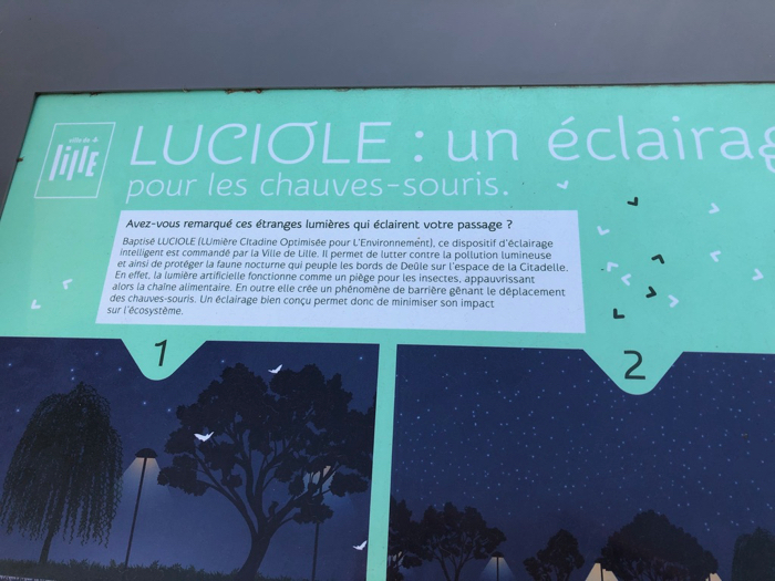 Projet Luciole - Lille