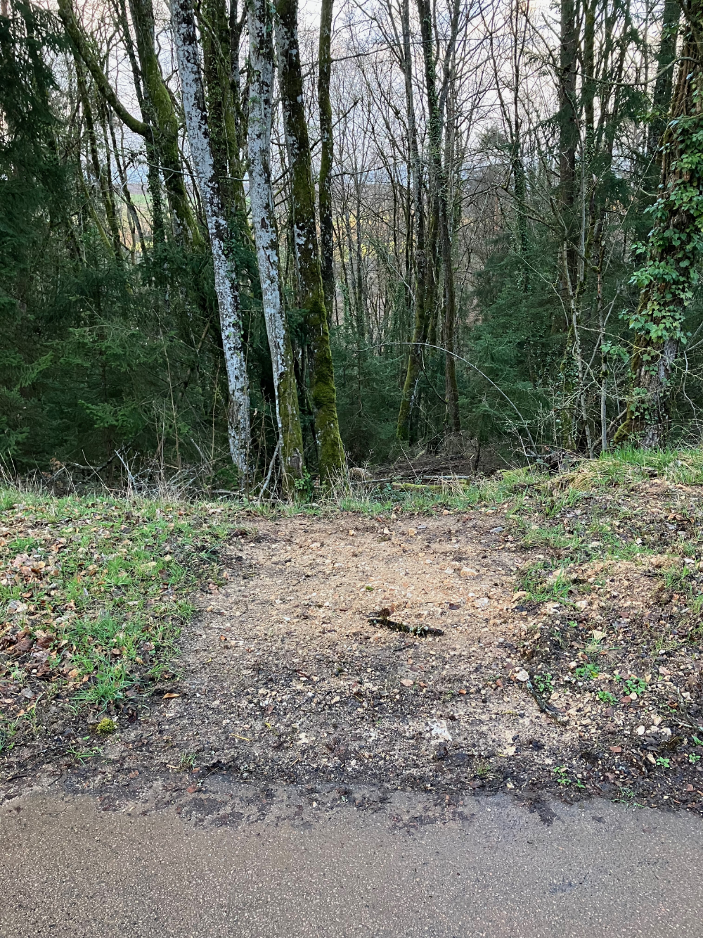 Haute-Marne, vallée de l'Aube - mars 2024