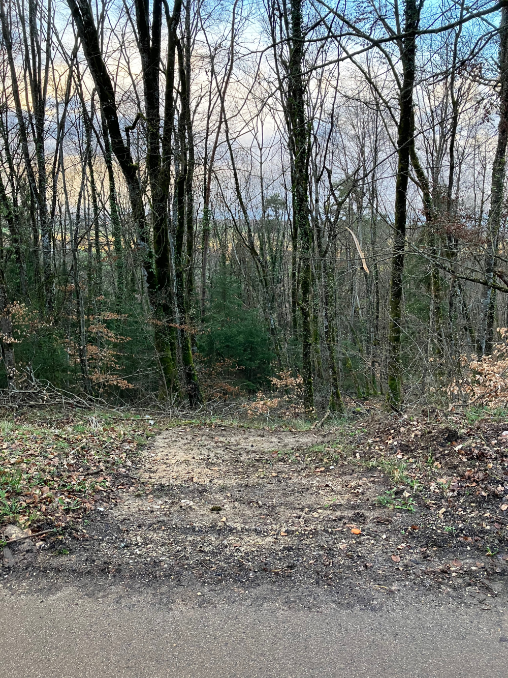 Haute-Marne, vallée de l'Aube - mars 2024