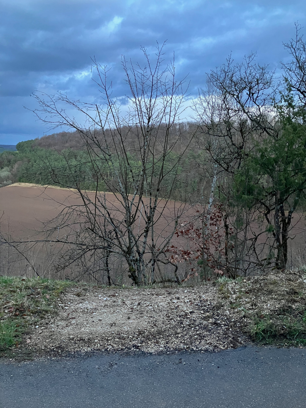 Haute-Marne, vallée de l'Aube - mars 2024