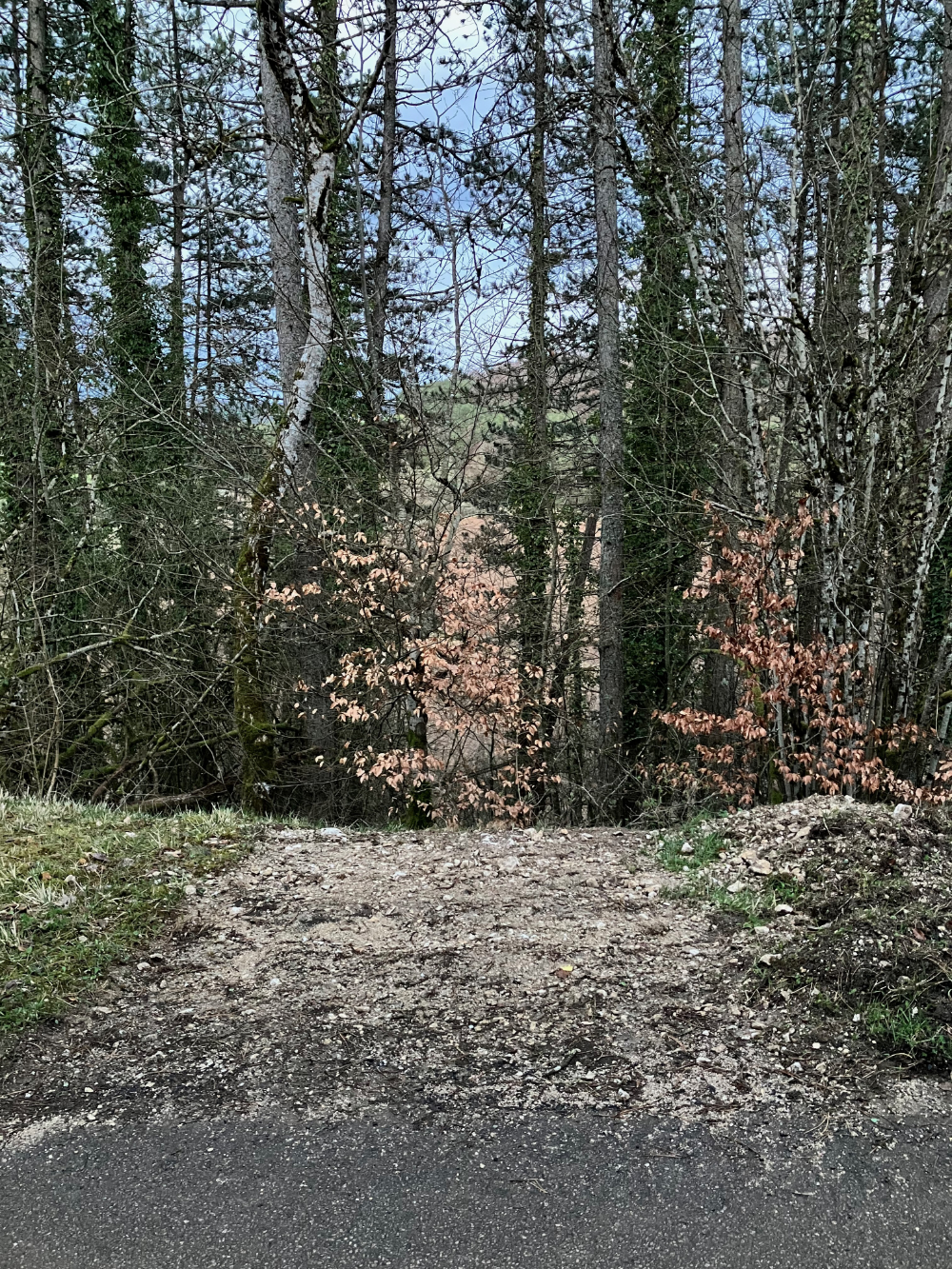 Haute-Marne, vallée de l'Aube - mars 2024