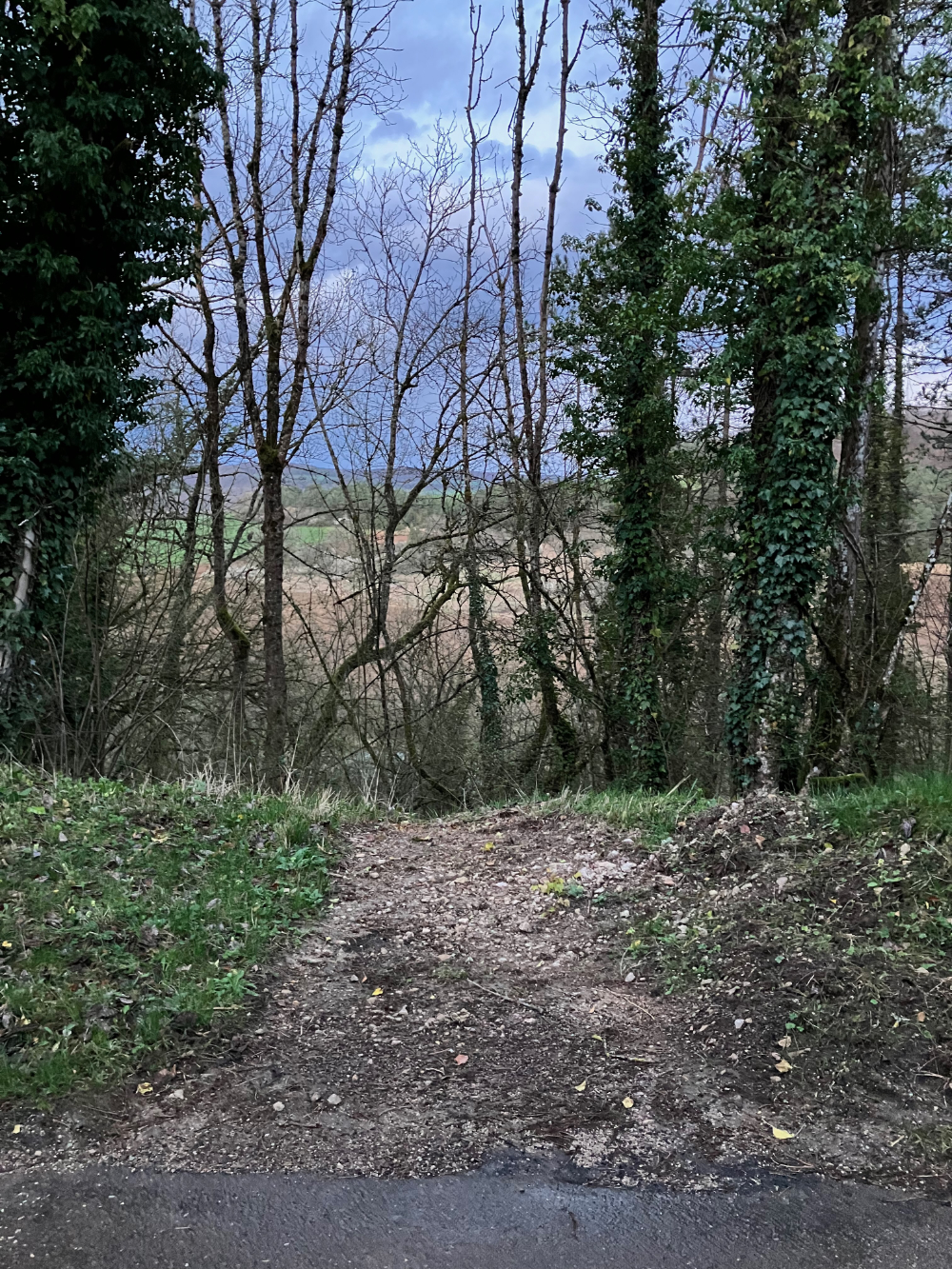 Haute-Marne, vallée de l'Aube - mars 2024