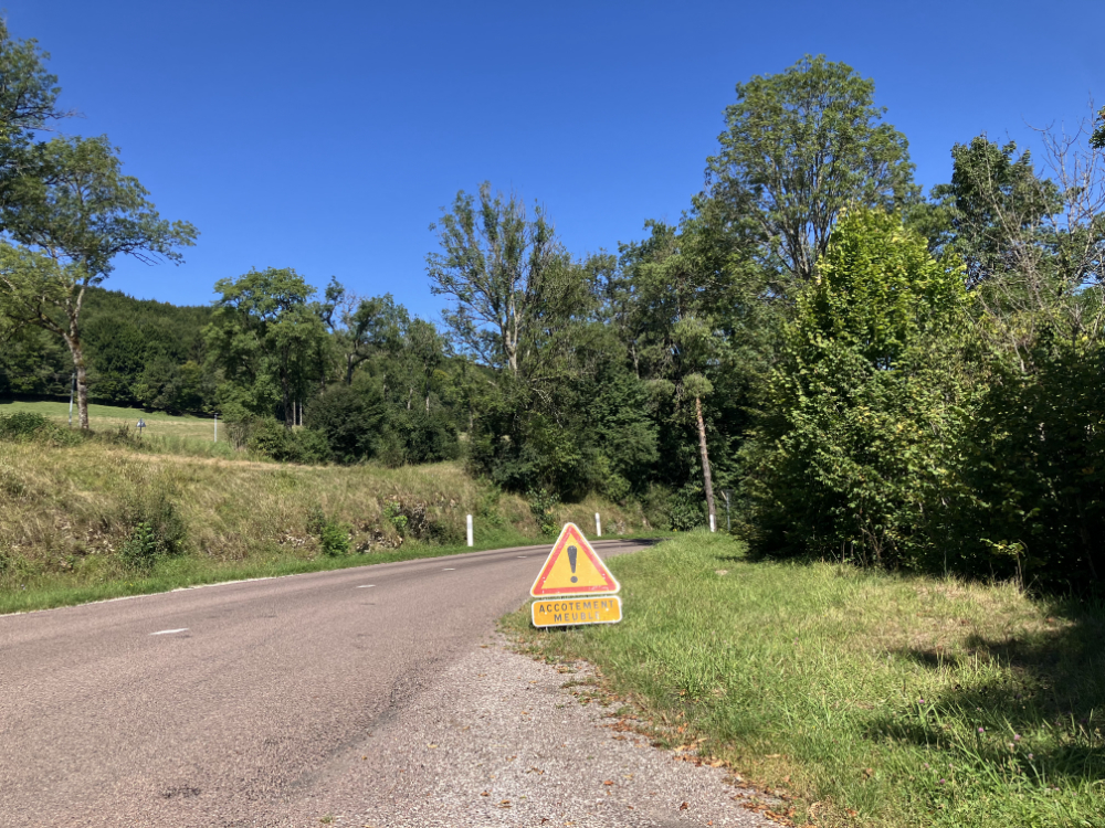 Haute-Marne, vallée de l'Aube - août 2024