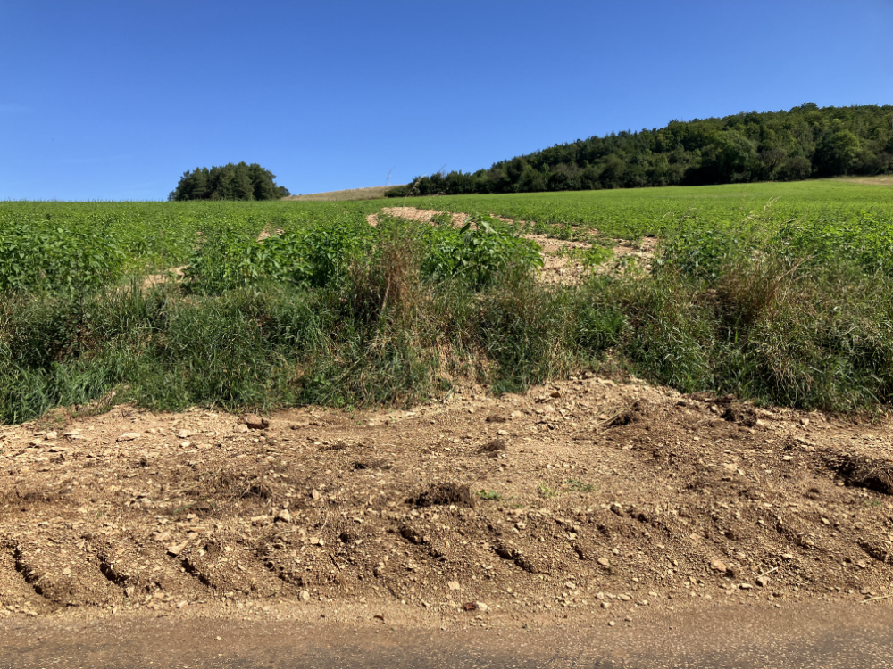 Haute-Marne, vallée de l'Aube - août 2024