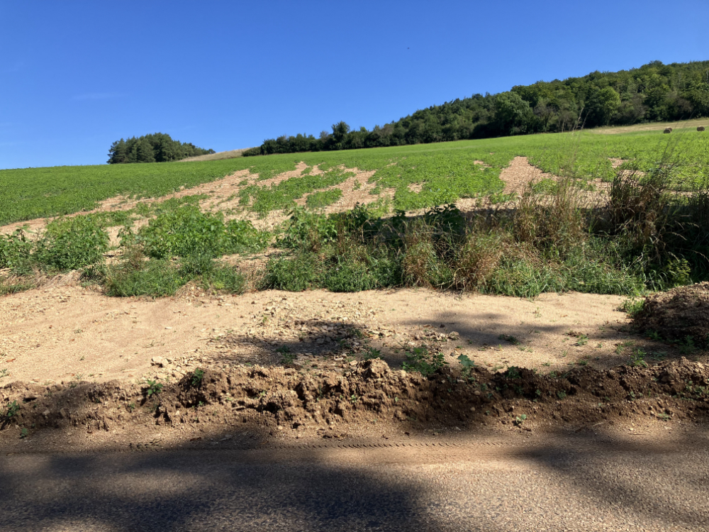 Haute-Marne, vallée de l'Aube - août 2024