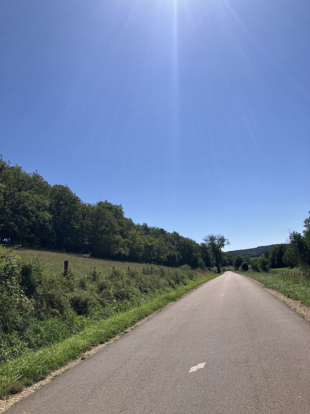 Haute-Marne, vallée de l'Aube - août 2024