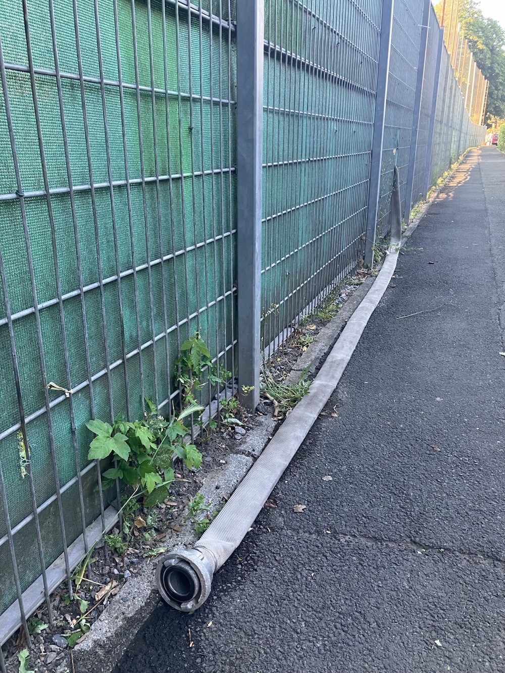 Pendant la canicule / l'été 2026