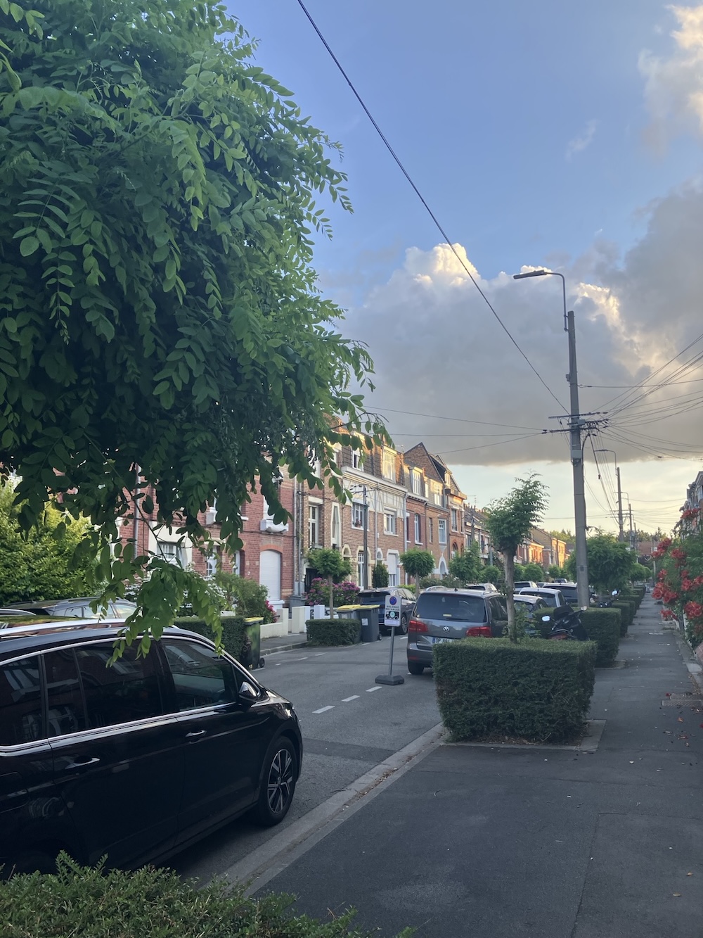 Pendant la canicule / l'été 2026