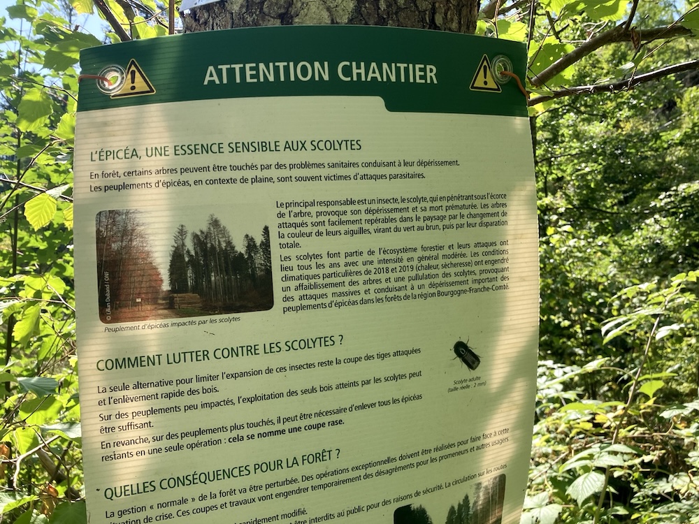 Dans le jura, été 2026