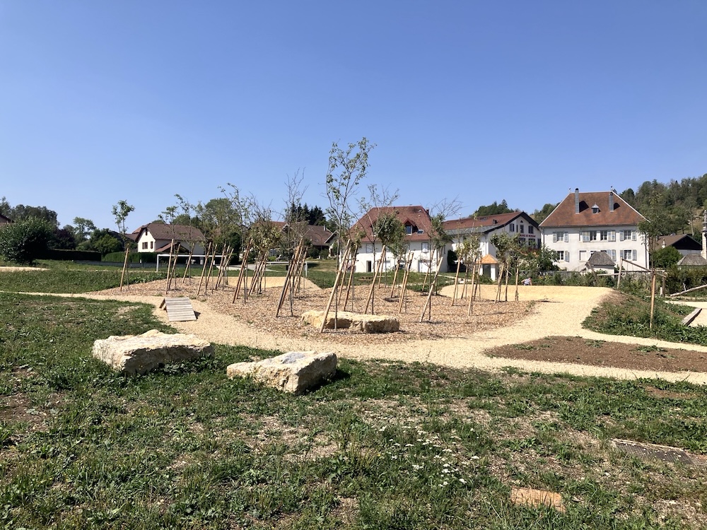 Dans le jura, été 2026