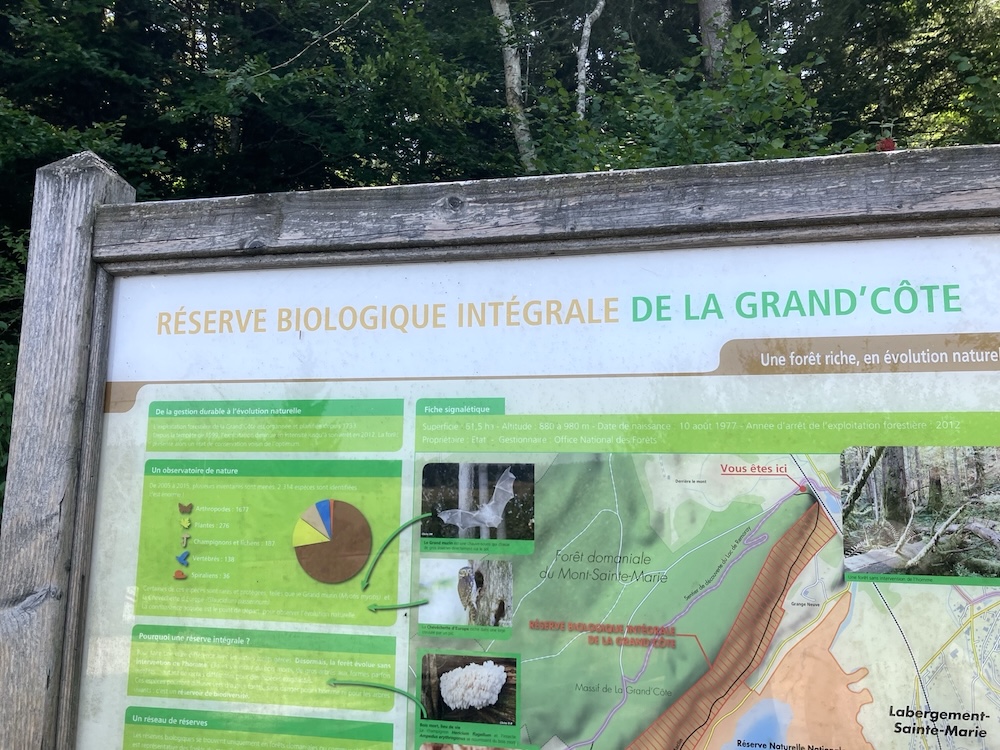 Dans le jura, été 2026