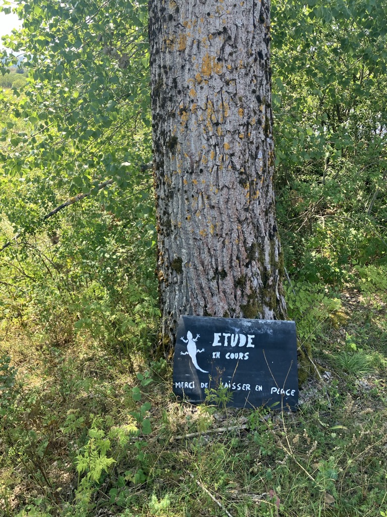 Dans le jura, été 2026